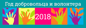 2018 год волонтера в РФ